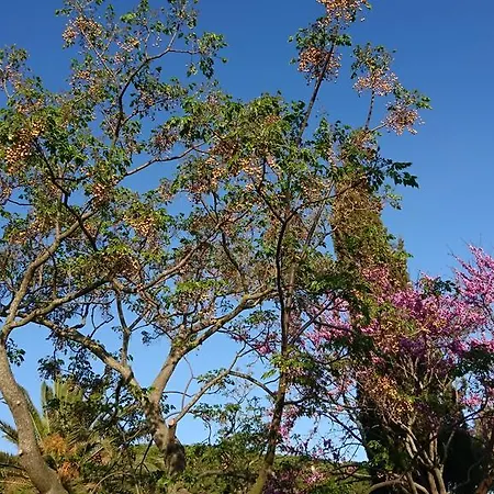 Podere Isabella *