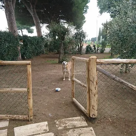 Podere Isabella Dom wakacyjny *