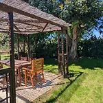Podere Isabella Дом отдыха Сан-Винченцо