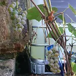 Podere Isabella * Сан-Винченцо