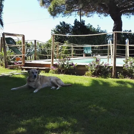Holiday home Podere Isabella