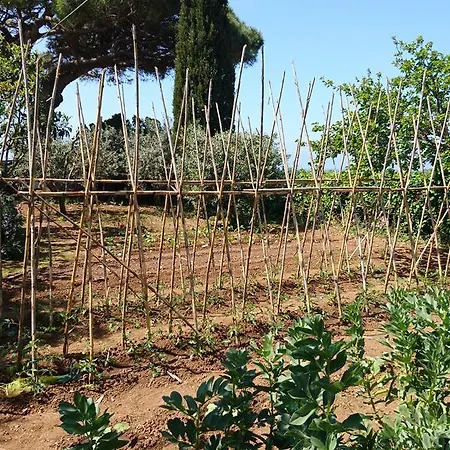Holiday home Podere Isabella San Vincenzo